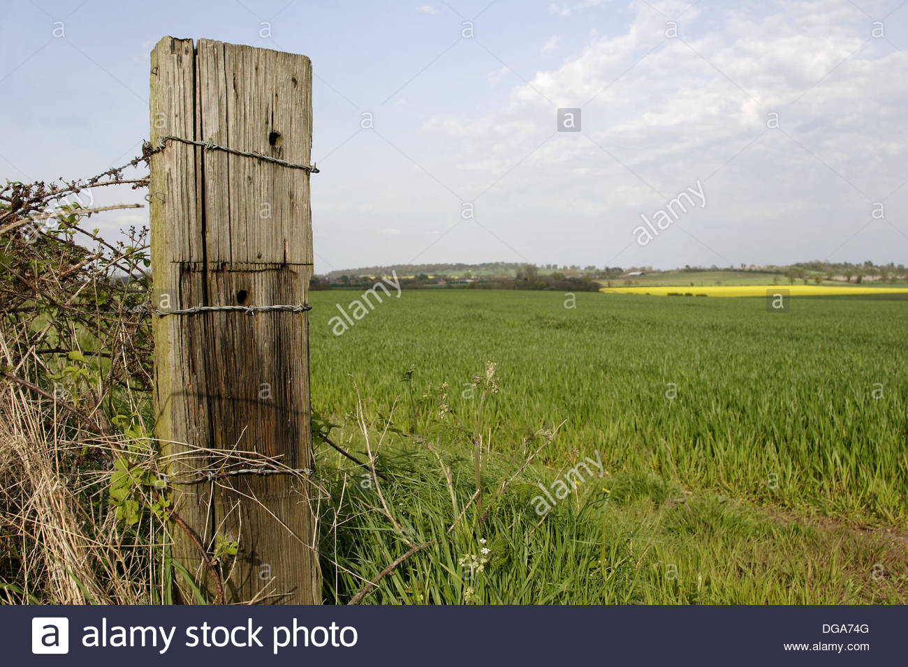 old-wooden-fence-post-in-field-close-up-england-uk-DGA74G.jpg
